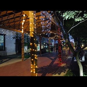 Meet your Posher, Fanny